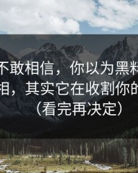 我一度不敢相信，你以为黑料网在线在揭真相，其实它在收割你的注意力（看完再决定）
