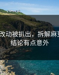 新版本改动被扒出，拆解麻豆视频｜结论有点意外