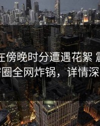 圈内人在傍晚时分遭遇花絮 震惊，微密圈全网炸锅，详情深扒