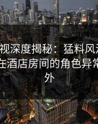 香蕉影视深度揭秘：猛料风波背后，神秘人在酒店房间的角色异常令人意外