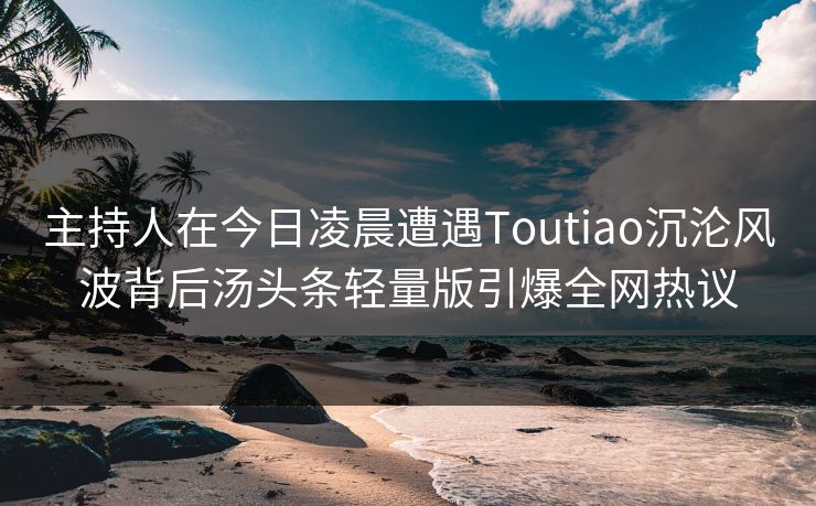 主持人在今日凌晨遭遇Toutiao沉沦风波背后汤头条轻量版引爆全网热议