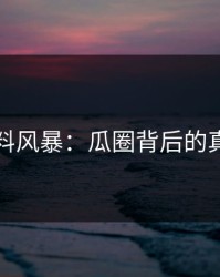 网红爆料风暴：瓜圈背后的真相揭晓