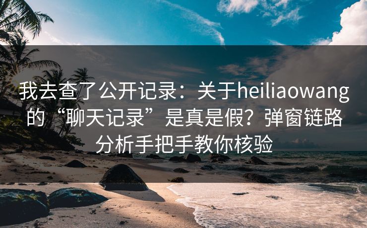 我去查了公开记录：关于heiliaowang的“聊天记录”是真是假？弹窗链路分析手把手教你核验